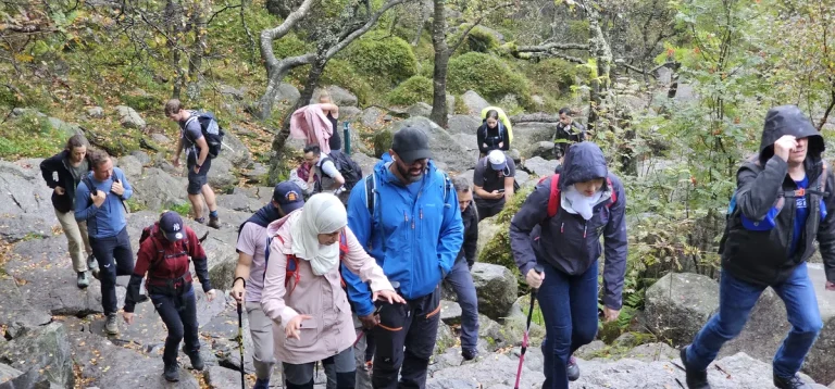 Private guided visit to Pulpit Rock with NORDIQ Travel, Norway