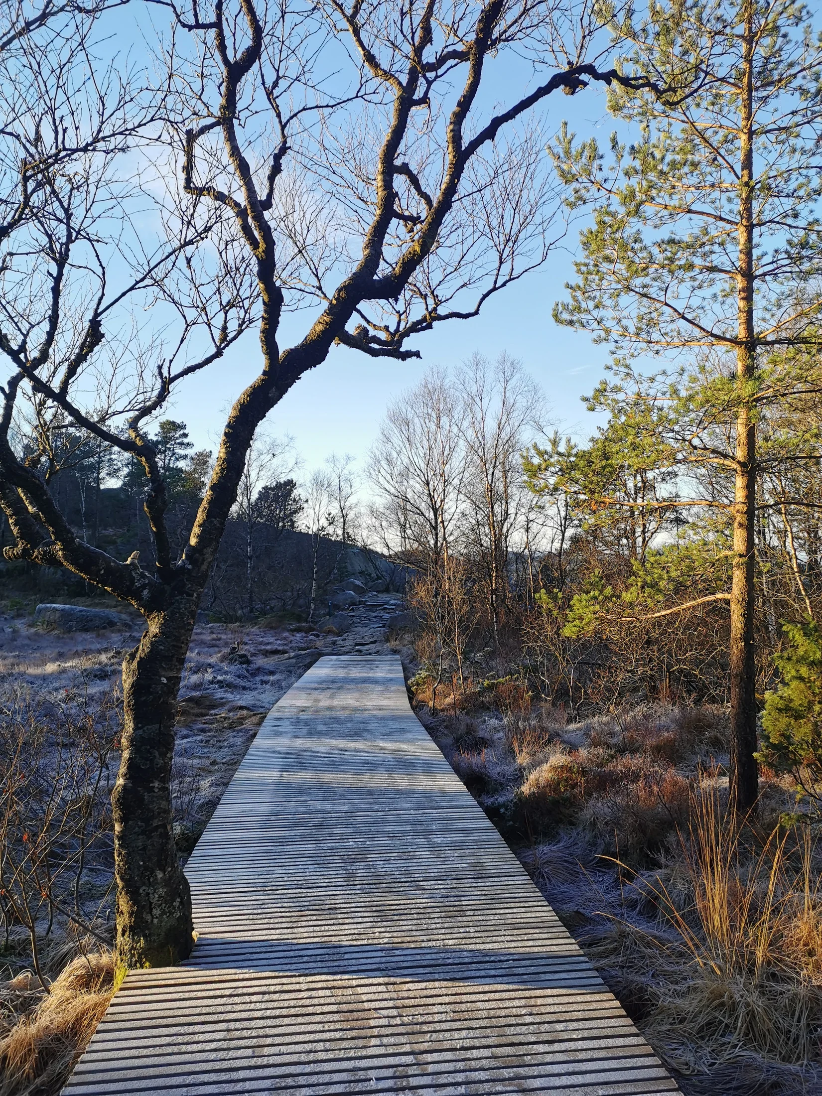 Snow and ice on the Preikestolen route